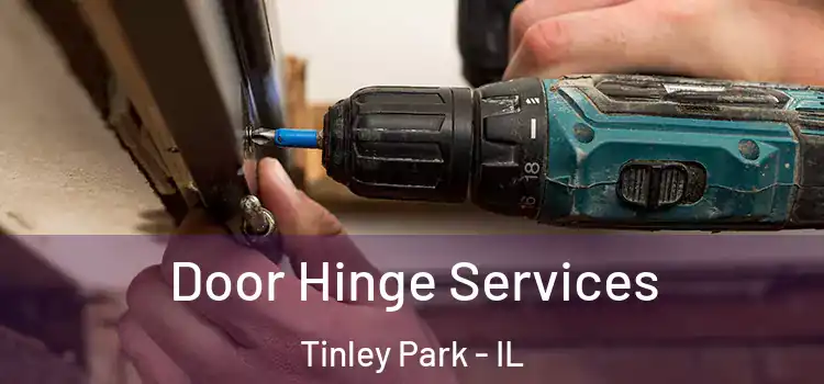 Door Hinge Services Tinley Park - IL
