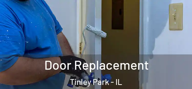 Door Replacement Tinley Park - IL