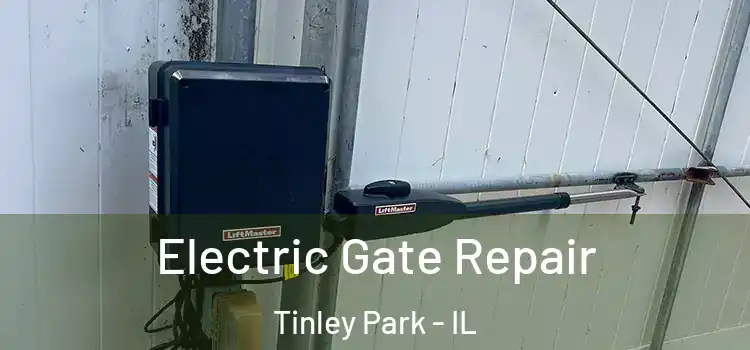 Electric Gate Repair Tinley Park - IL