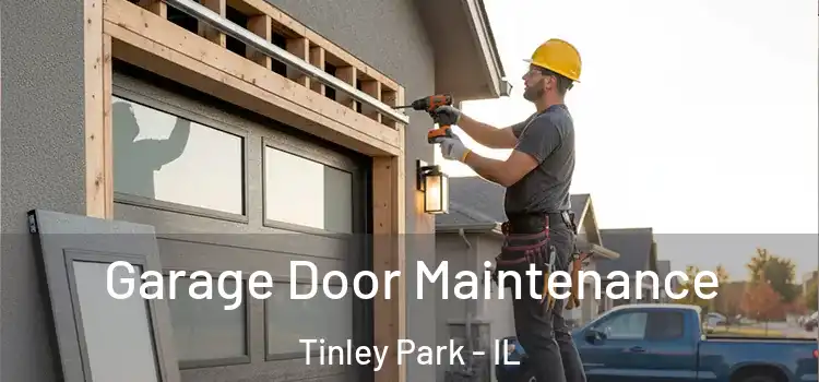 Garage Door Maintenance Tinley Park - IL