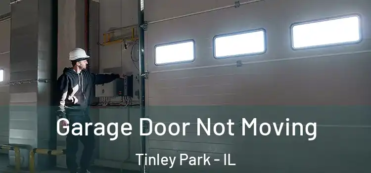  Garage Door Not Moving Tinley Park - IL