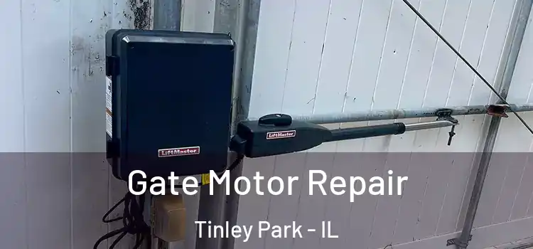 Gate Motor Repair Tinley Park - IL
