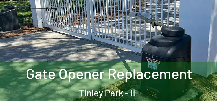 Gate Opener Replacement Tinley Park - IL