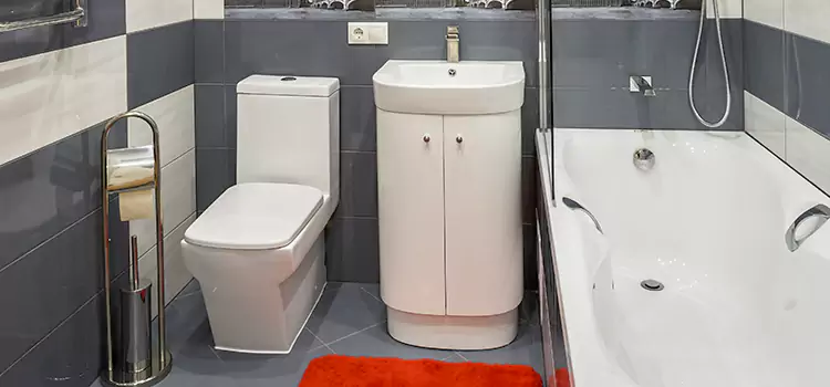 Hansgrohe Shaving Mirror Tinley Park