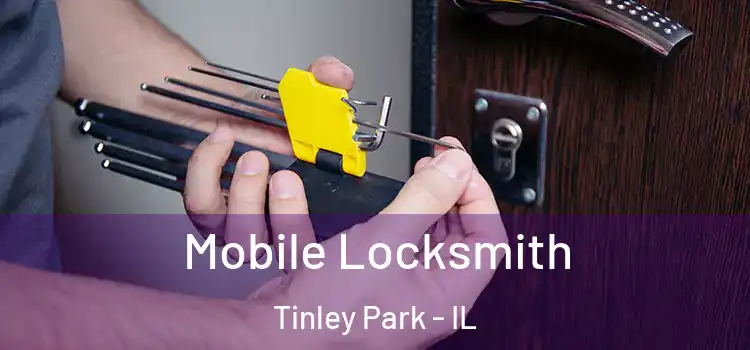 Mobile Locksmith Tinley Park - IL
